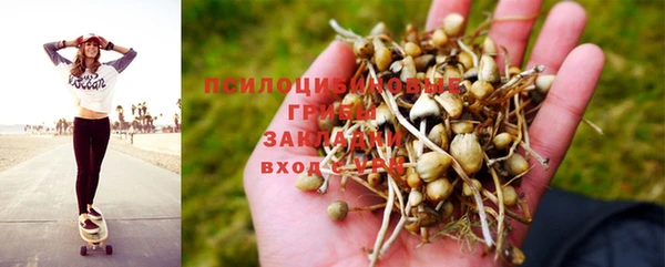 jwh Зерноград